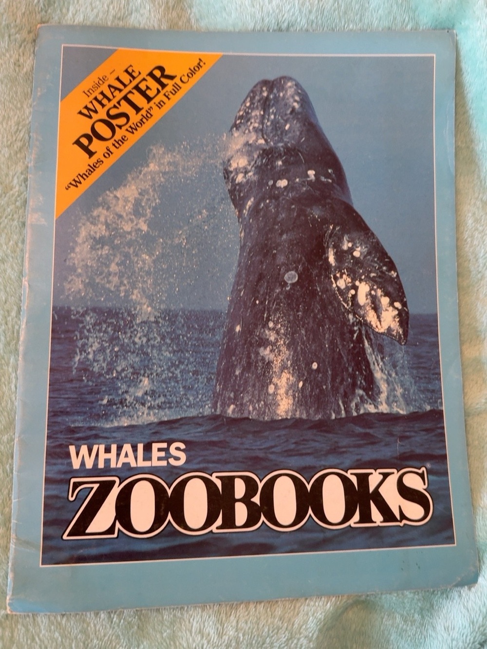 Vintage 1987 Whales Zoobooks Magazine Book with Giant Fold-Out Whale Poster